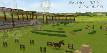 A horse running round an arena