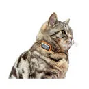 G-Paws Pet GPS Tracker System - Black Image 1