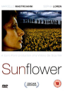 Sunflower Image 1