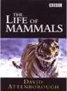 The Life Of Mammals Image 1