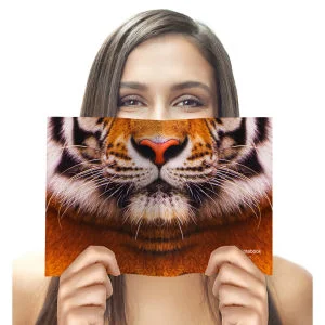 Animal Face Notebook - Tiger Image 1