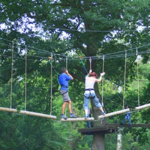 High Ropes Adventure (Adult) Image 1