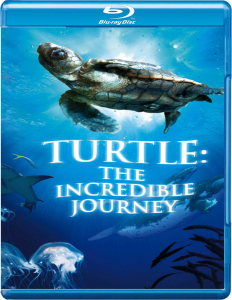 Turtle: The Incredible Journey 3D Image 1