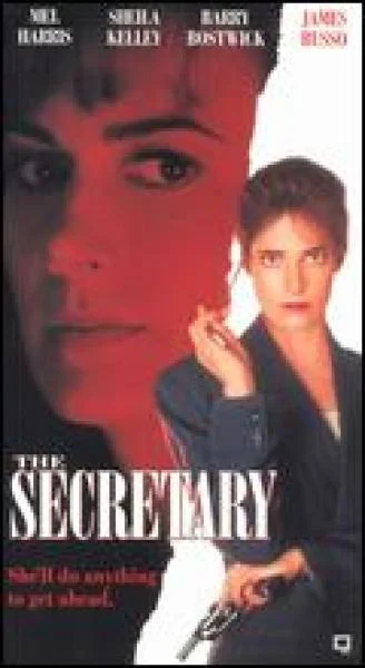 The Secretary Image 1