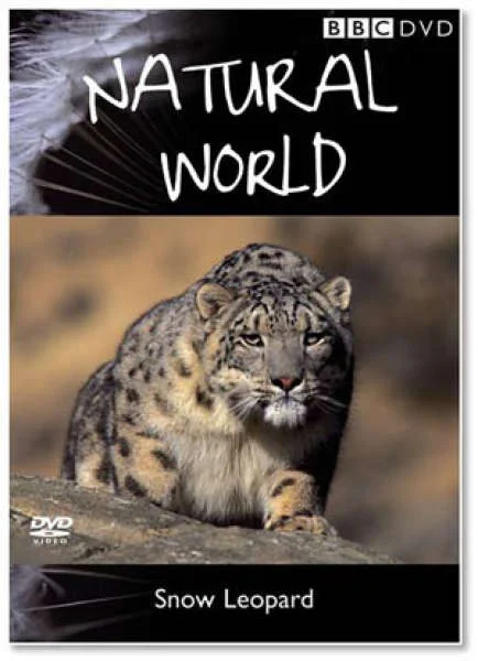 Natural World - Snow Leopard Image 1