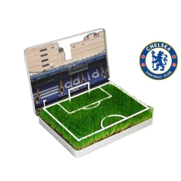 Grow Your Own Chelsea Mini Pitch Image 1