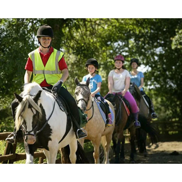 Introduction to Horse Riding for One Image 1