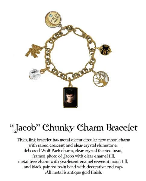 Twilight New Moon - Chunky Charm Bracelet - Jacob Image 1