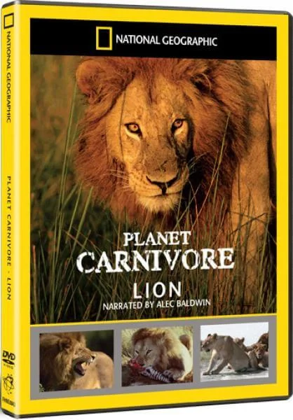 National Geographic: Planet Carnivore Box Set - Lion Image 1
