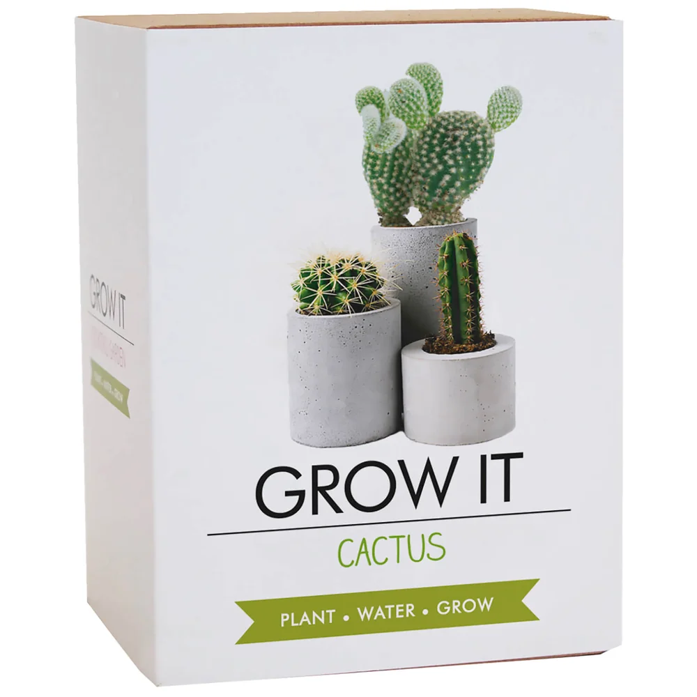 Grow It Cactus Image 1