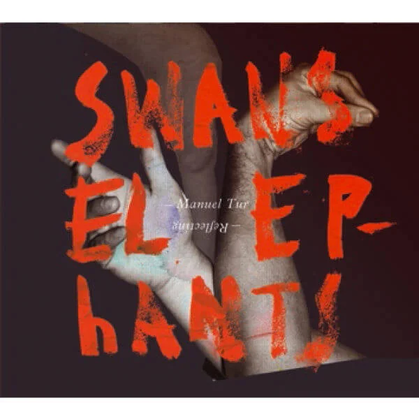 Swans Reflecting Elephants Image 1