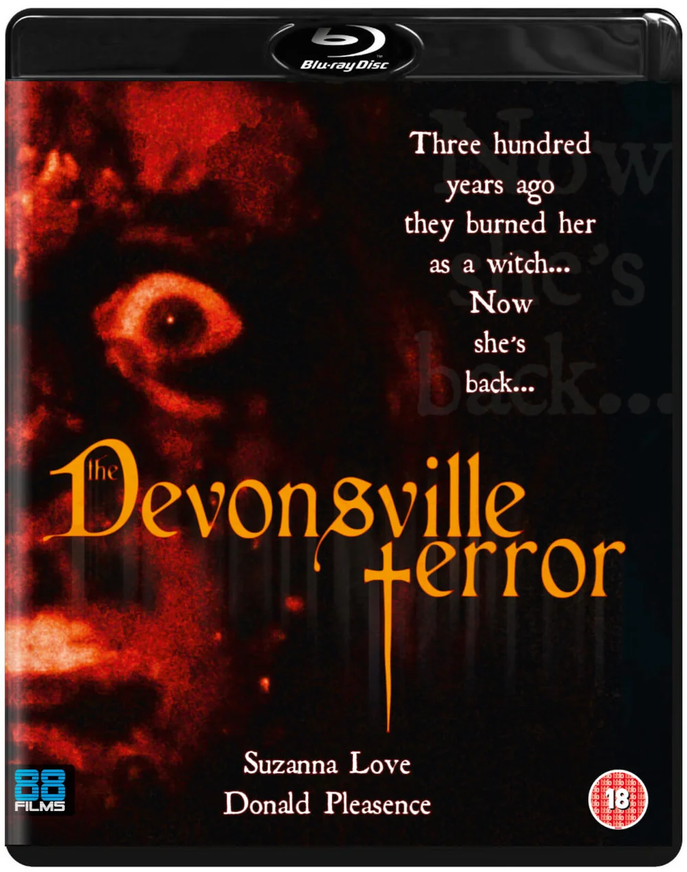 The Devonsville Terror Image 1
