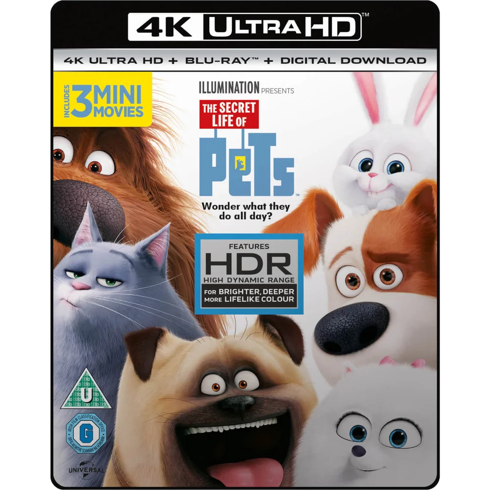 The Secret Life Of Pets - 4K Ultra HD Image 1