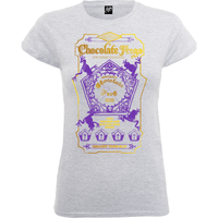 Harry Potter Honeydukes Purple Chocolate Frogs Women's Grey T-Shirt - undefined undefined