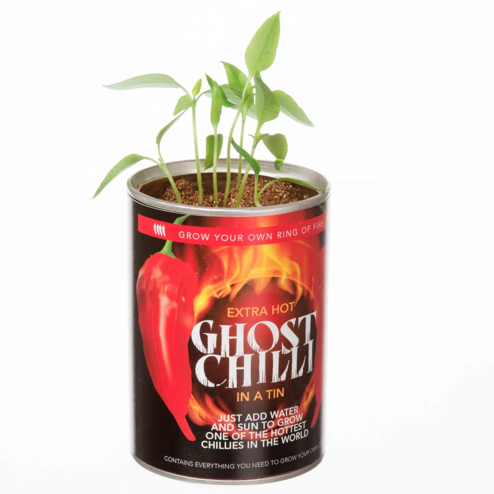 Grow Your Own Ghost Chilli Image 1