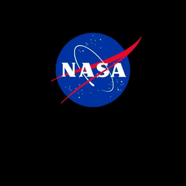 NASA Logo Insignia Sweatshirt - Black