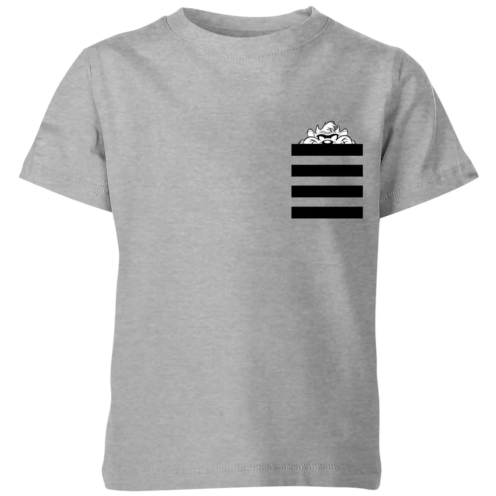 Looney Tunes Taz Stripes Pocket Print Kids' T-Shirt - Grey - 3-4 Years Image 1