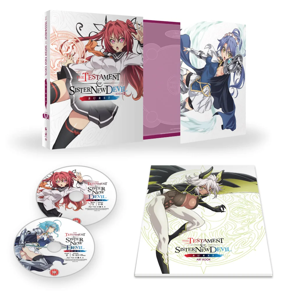 Testament of Sister New Devil Burst Collector's Edition Image 1