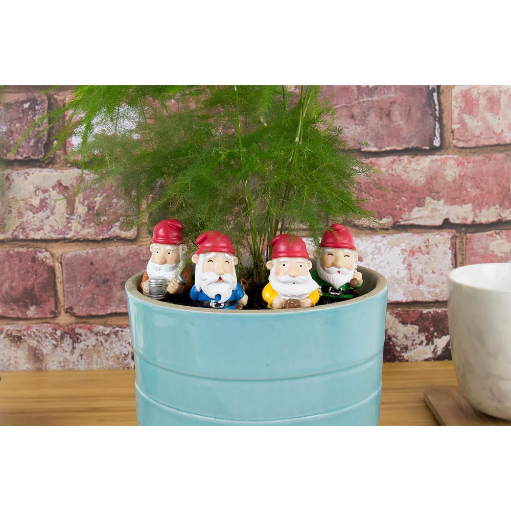 Plant Pot Gnomes Image 1