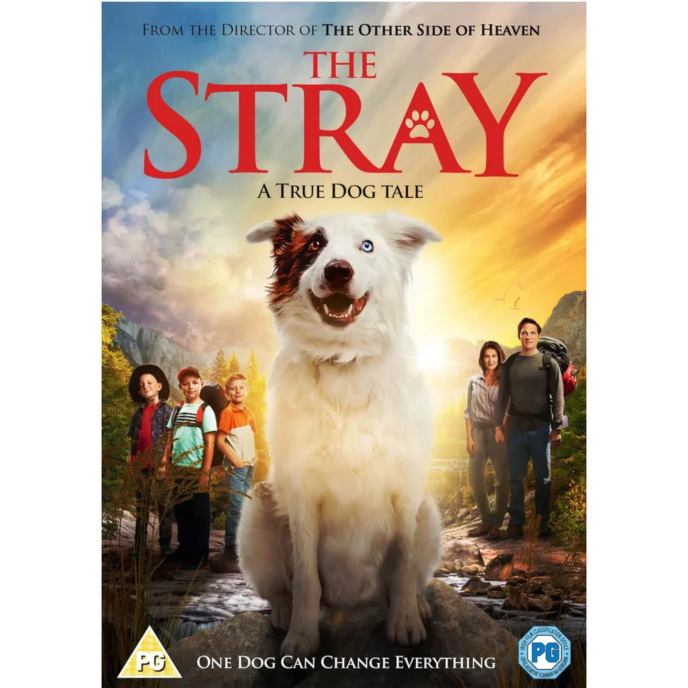 The Stray Image 1