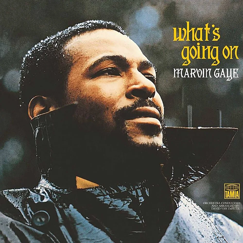 Marvin Gaye - What's Going On Vinyl Image 1