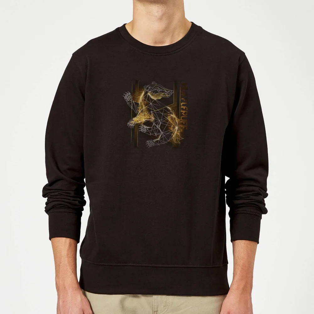 Harry Potter Hufflepuff Geometric Sweatshirt - Black - S Image 1