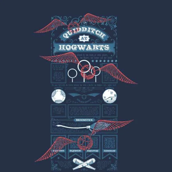 Harry Potter Quidditch At Hogwarts Men's T-Shirt - Navy