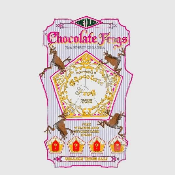 Harry Potter Chocolate Frog Women's T-Shirt - Grey