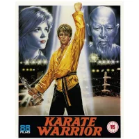 Karate Warrior