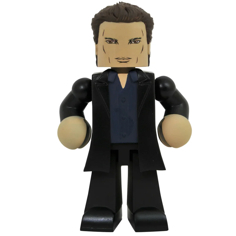 Diamond Select Buffy the Vampire Slayer Angel Vinimate Image 1