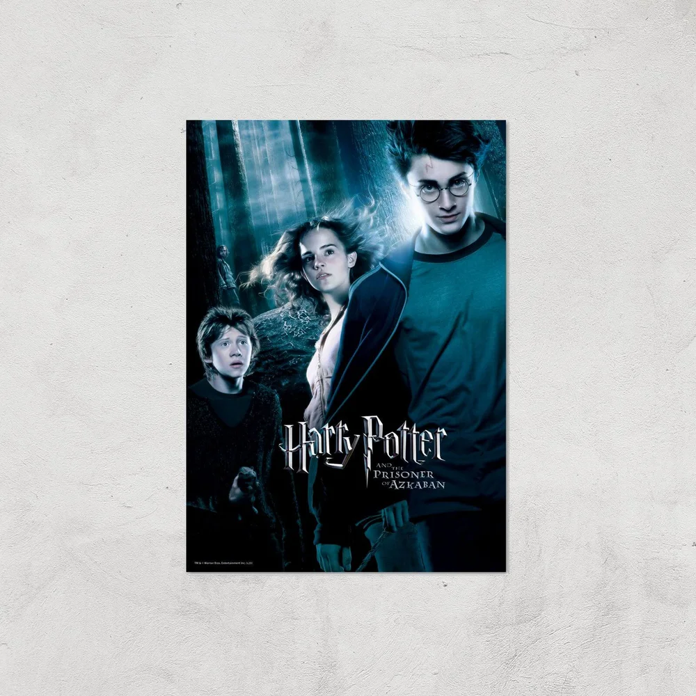 Harry Potter and the Prisoner Of Azkaban Giclee Art Print - A4 - Print Only Image 1