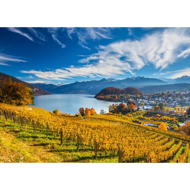 Vineyards (2000 Pieces) Puzzle