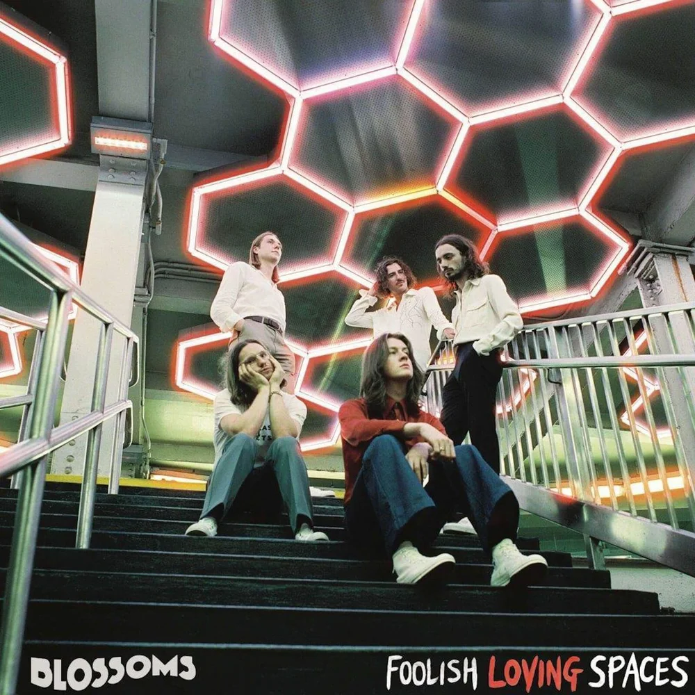Blossoms - Foolish Loving Spaces Vinyl Image 1