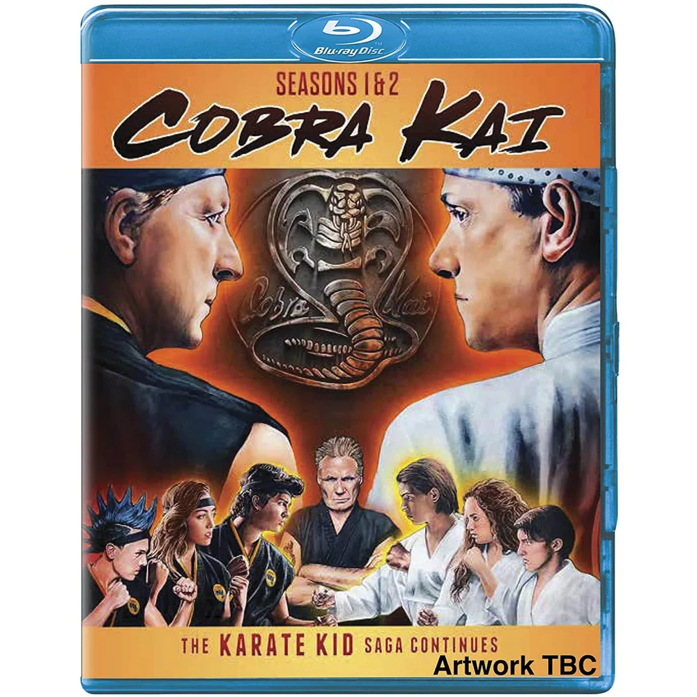 Cobra Kai - Seasons 1-2 Image 1