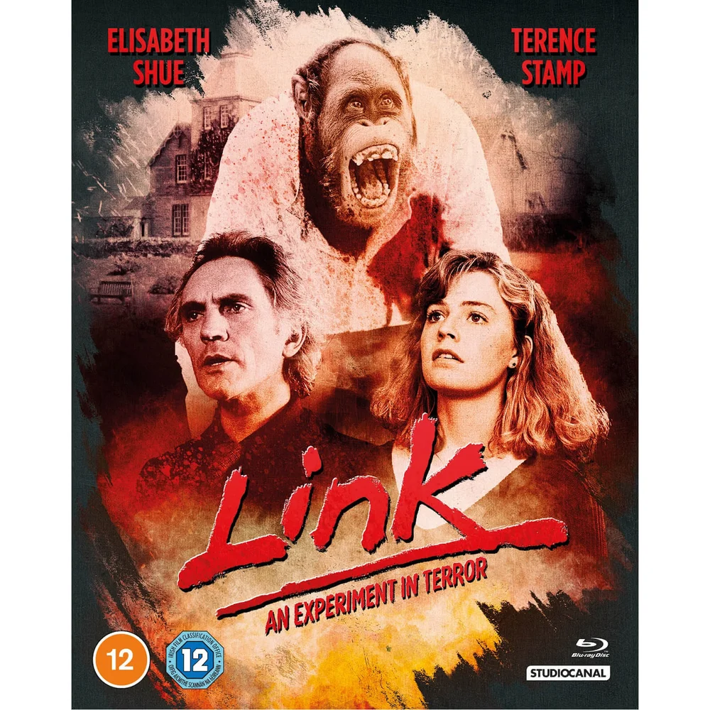 Link Image 1