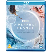 A Perfect Planet