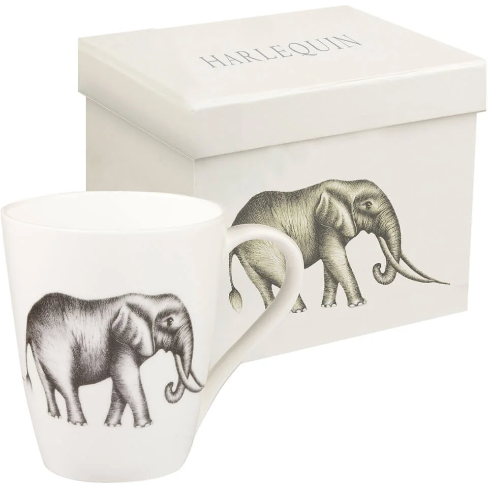 Harlequin Savanna Aspen Mug Gift Box - Opal Image 1