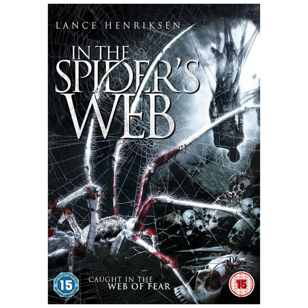 In the Spider's Web Image 1