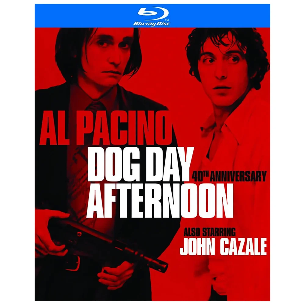 Dog Day Afternoon Image 1