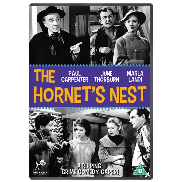 The Hornet's Nest