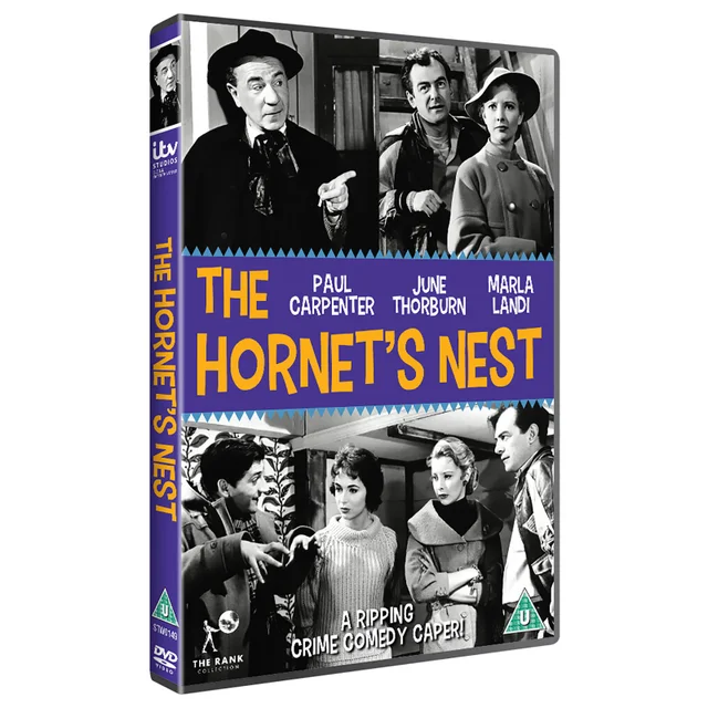 The Hornet's Nest
