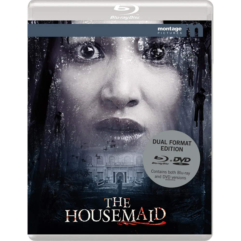 The Housemaid (Cô Haû Gaí) - Dual Format Edition Image 1