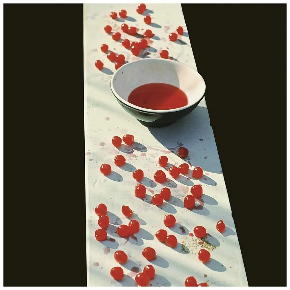 Paul McCartney - McCartney Vinyl 2LP Image 1