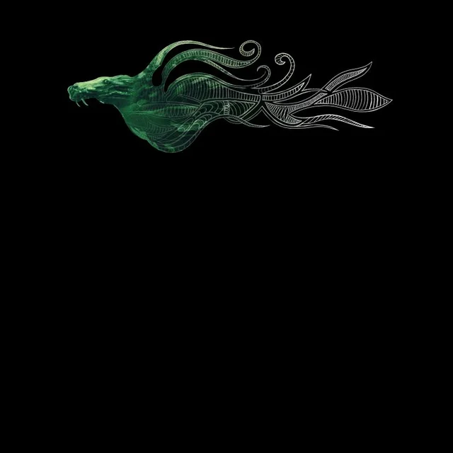 Fantastic Beasts Tribal Kelpie Men's T-Shirt - Black