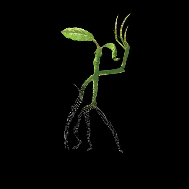 Fantastic Beasts Tribal Bowtruckle Men's T-Shirt - Black