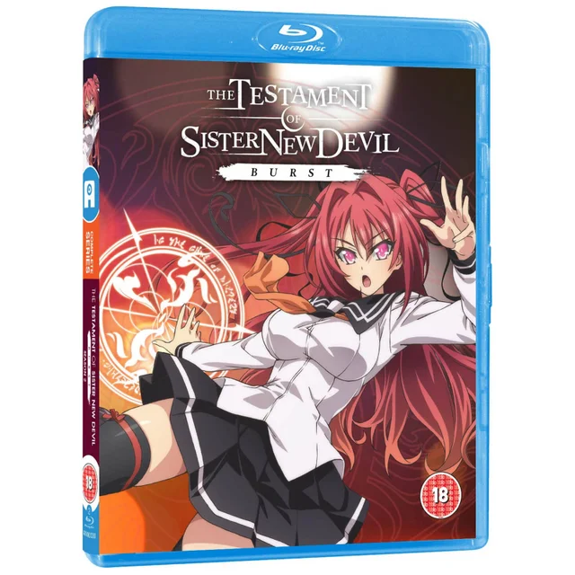 Testament of Sister New Devil Burst