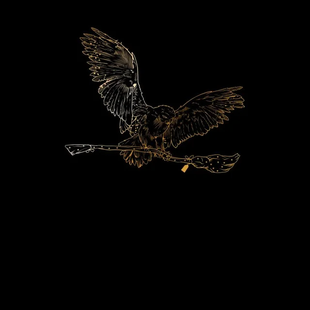 Harry Potter Hedwig Broom Gold Men's T-Shirt - Black
