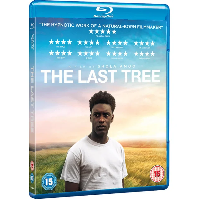 The Last Tree