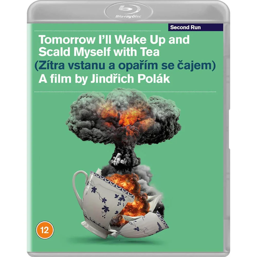 Tomorrow I'll Wake Up and Scald Myself with Tea Image 1