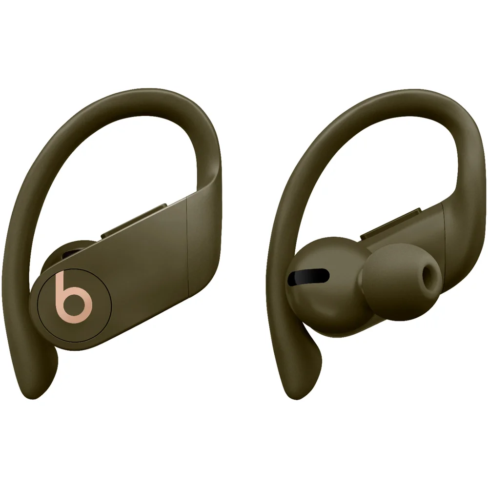 Beats Powerbeats Pro Totally Wireless Earphones - Moss Image 1